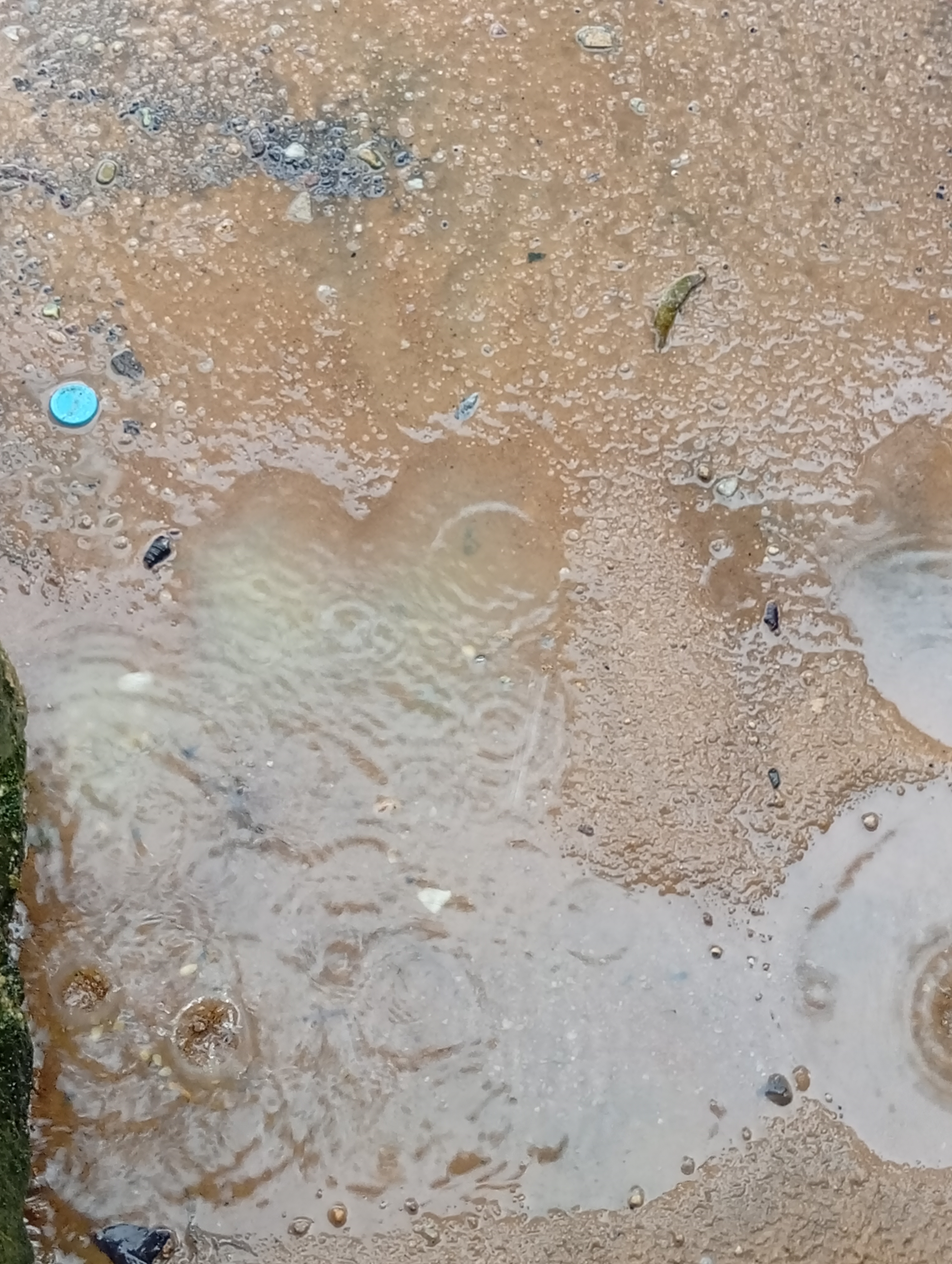 下雨為什麼有泥土味?認識雨後氣味,以及還沒下雨就聞到的原因